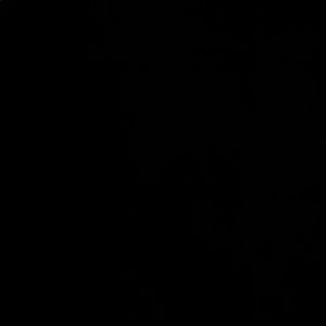 Meet your Posher, Delaney